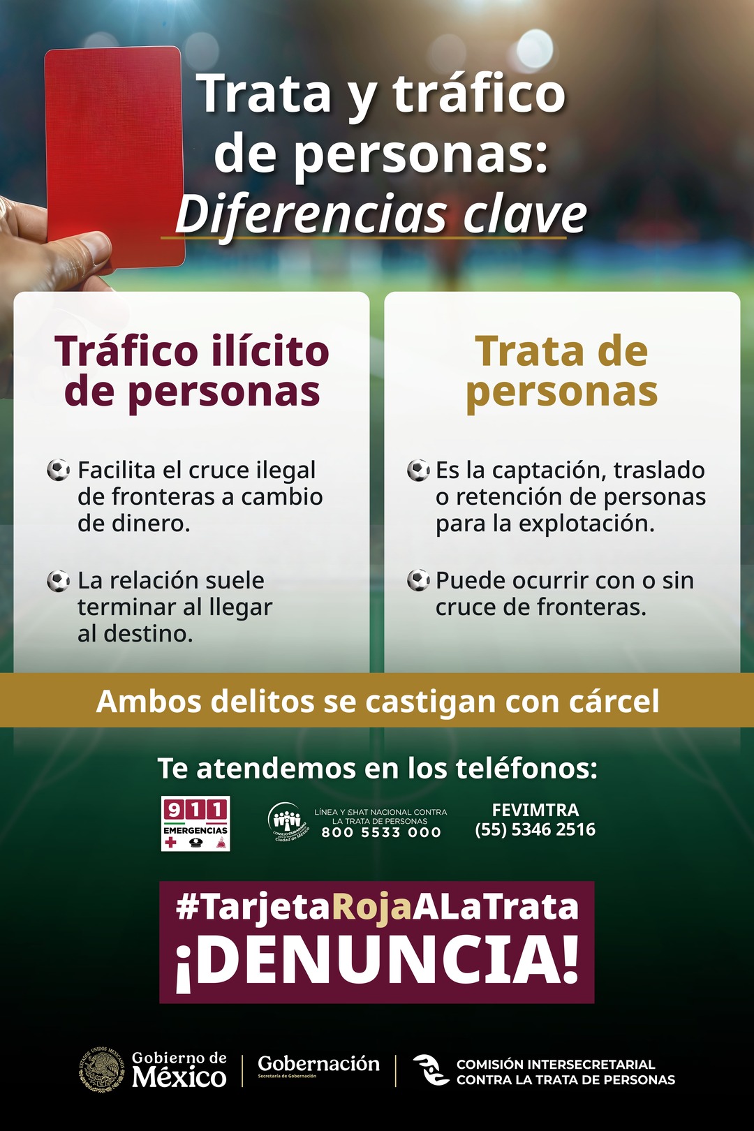 Infografía 1
