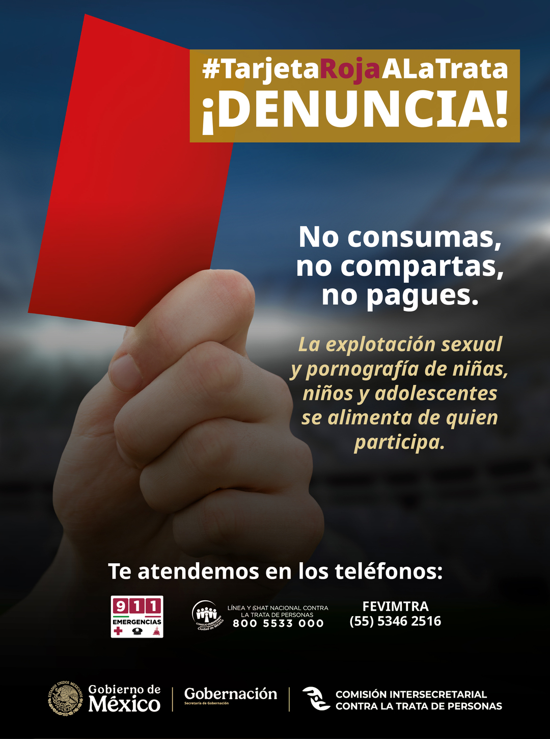 Infografía 2
