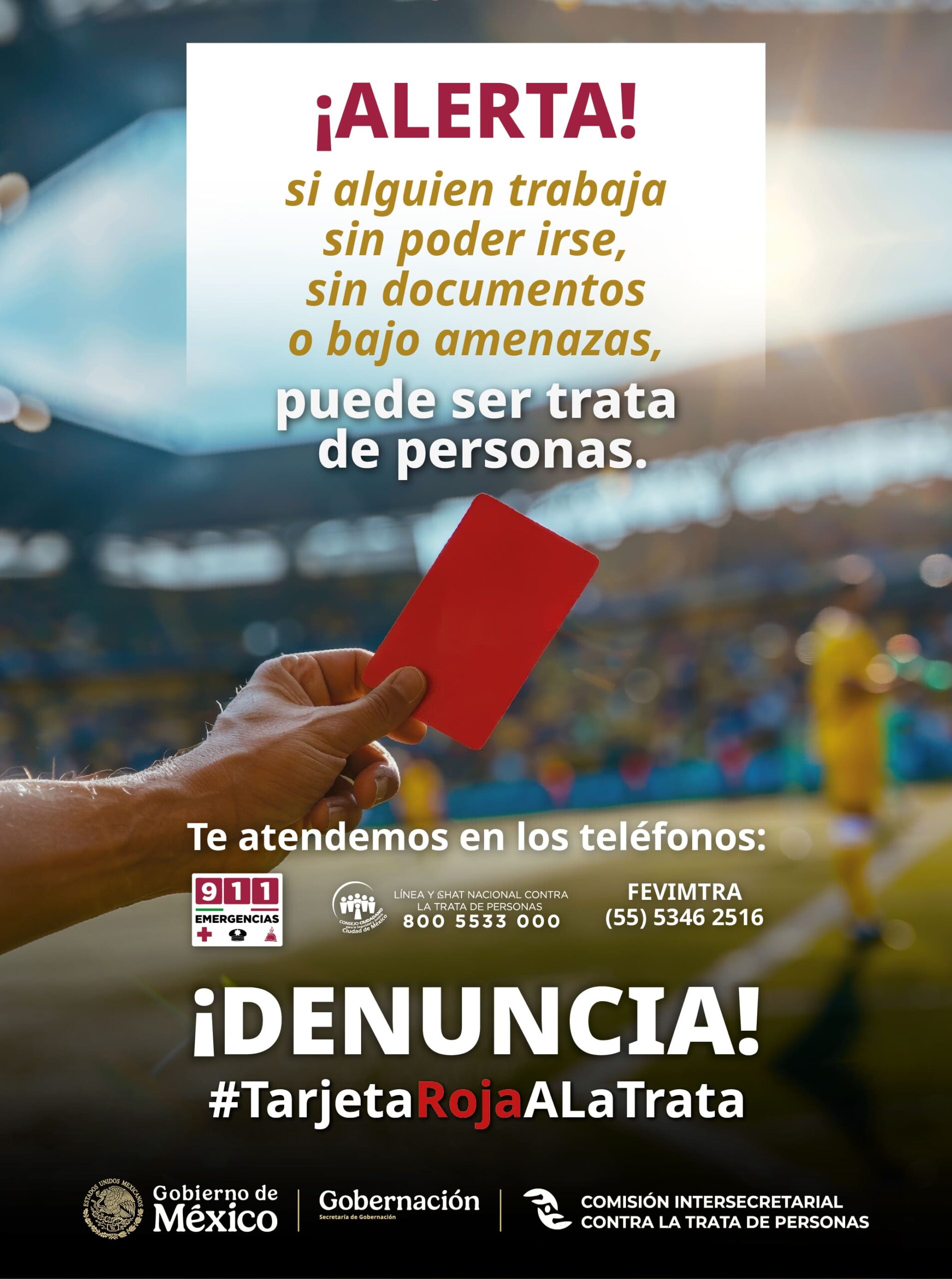 Infografía 3