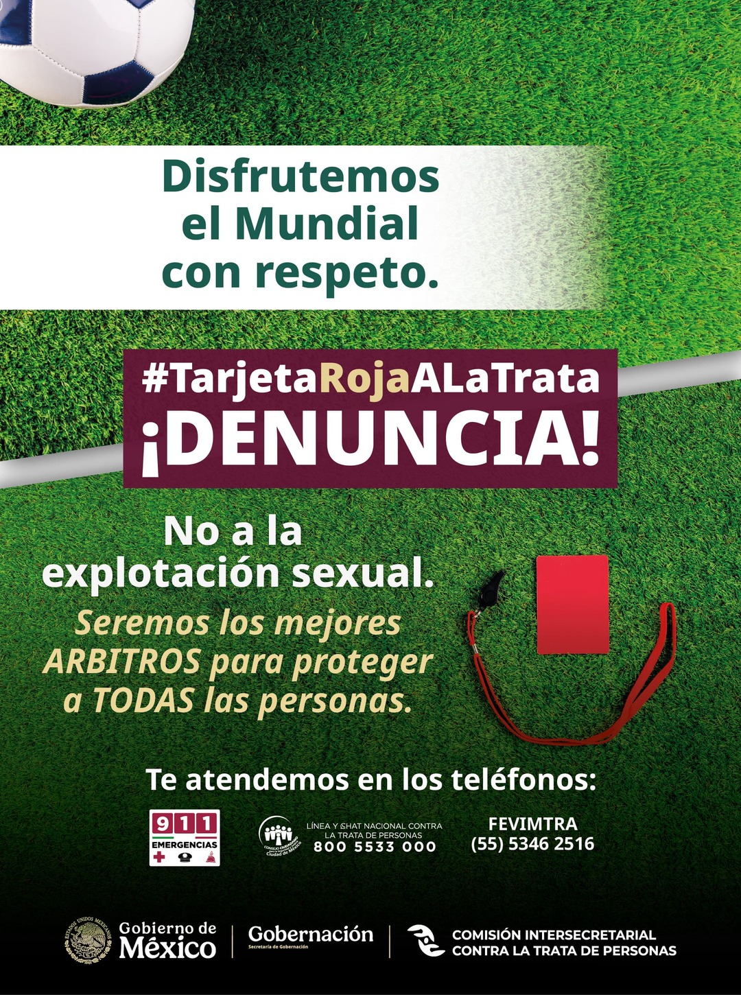 Infografía 4