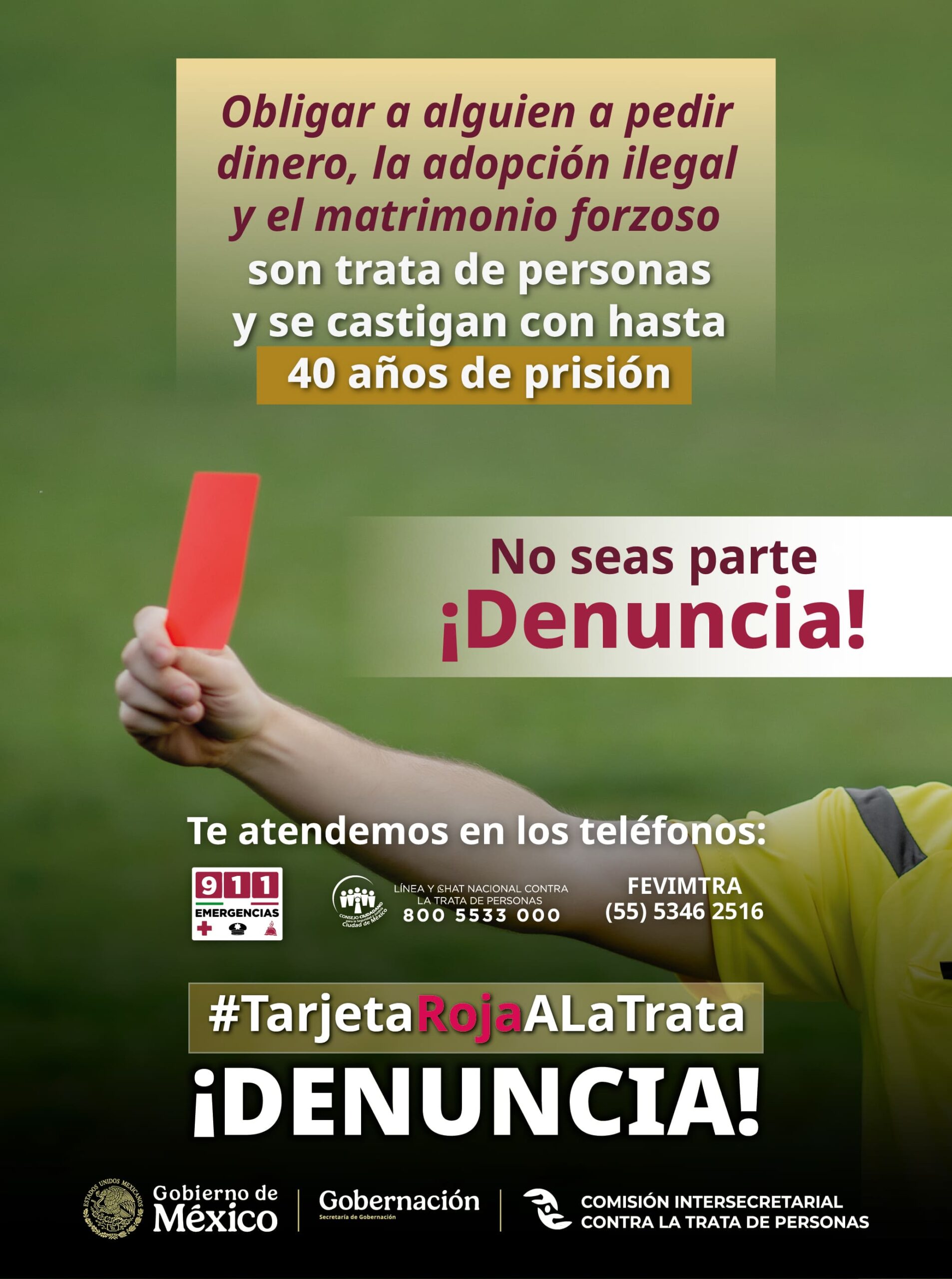 Infografía 5